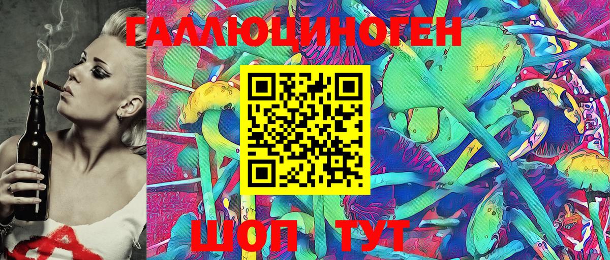 Псилоцибиновые грибы Psilocybe Кимры