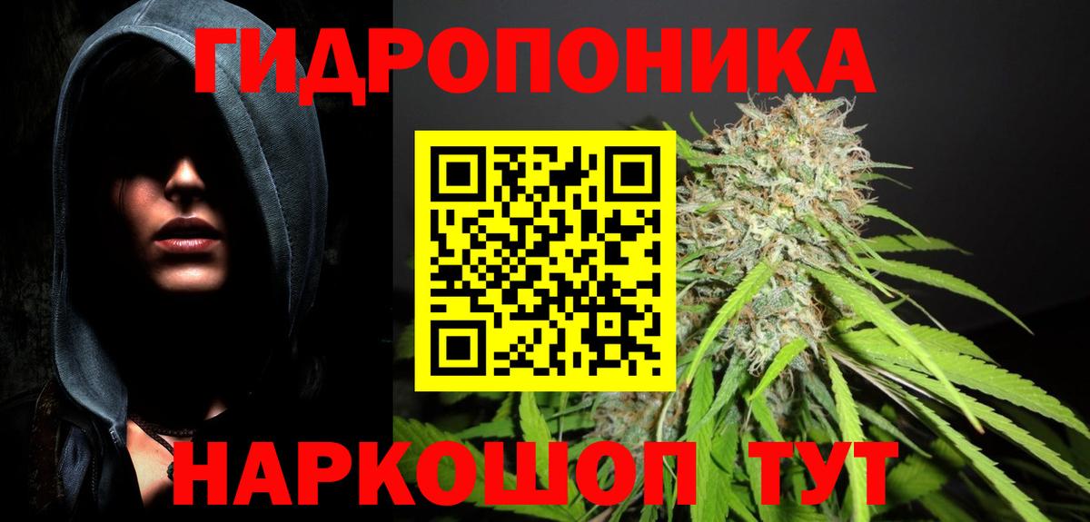 Кимры  Конопля конопля  Шишки марихуана Ganja  Марихуана White Widow  Вход с VPN  МАРИХУАНА THC 21% 